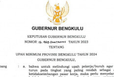 Ini Upah Minimum Ideal di Provinsi Bengkulu Tahun 2025