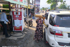  Sawit Atas, Oleh: Dahlan Iskan