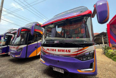 Hino Bus Menguasai 64 Persen Market Share