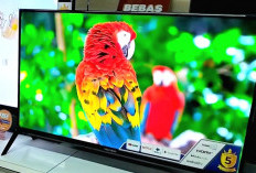 POLYTRON Smart Android TV 32 inch PLD 32AG5759, Apakah Worth It Untuk Dibeli ?