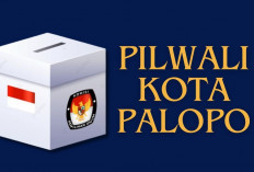 Kemenangan Trisal-OME di Pilwali Palopo Terancam Dianulir MK