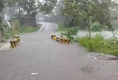  Curup Dikepung Banjir, Pemukiman Warga Terendam