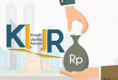 Ini Daftar Bank yang Masih Buka Pinjaman KUR Tahun 2025, Apa Saja ?