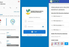 Bagi Penerima Bansos, Ini Cara Cek NIK KTP Online 