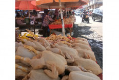 Harga Ayam Potong dan Sayur Naik