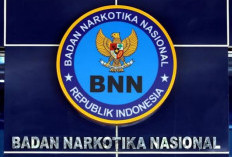 Kantor BNN Buka Loker Bagi Lulusan SMP Hingga Sarjana, Ini Posisi, Syarat dan Kualifikasi yang Dibutuhkan!