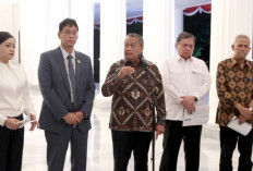  Panda Dimsum, Oleh: Dahlan Iskan