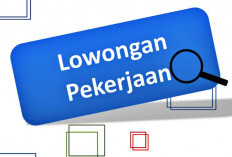 Bank BRI Buka Lowongan, Ini Dia 2 Posisi yang Dibutuhkan!