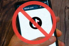 Hal-Hal yang Bisa Membuat Kamu Di-banned di TikTok