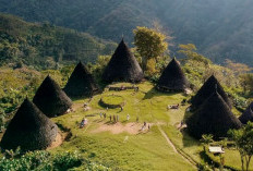 Inilah Fakta Unik dari Wae Rebo, Pengalaman Tak Terlupakan dengan Keindahan yang Memukau