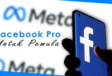 Hasilkan Cuan Lewat FB Pro, Begini Panduan Mudah Cara Mengaktifkannya!