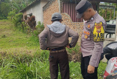 Polsek Selupu Rejang Gelar Razia Sajam untuk Cegah Kriminalitas di Rejang Lebong