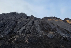 Soal Tragedi di Carstensz, Fiersa Besari Angkat Bicara