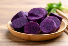 Mengapa Buah dan Sayur Ungu Wajib Ada di Menu Harian Anda ? Ini Jawabannya !