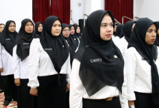 SK PPPK Paruh Waktu 2025 Bisa Jadi Jaminan Pinjaman Bank ? Ini Penjelasan Lengkapnya