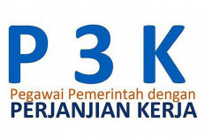 Syarat dan Ketentuan Seleksi PPPK 2024 Telah Dirilis, Tenaga Honorer Dinyatakan Gugur Jika Melakukan Ini