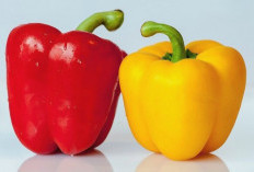 Kerutan Membandel ? Mungkin Kamu Kurang Konsumsi 5 Makanan Ini