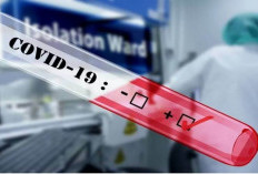 Kemenkes Temukan 75 Kasus Positif COVID-19