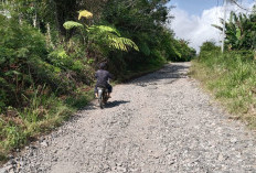 Jalan Rusak Makin Parah, Belasan Tahun Tak Tersentuh Perbaikan