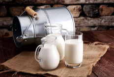 Tak Hanya dari Matahari, Ini Daftar Minuman yang Mengandung Vitamin D Tinggi