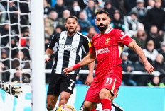 Newcastle United Tahan Liverpool 3-3