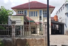 BKSDA Bengkulu Imbau Warga Serahkan Satwa Dilindungi