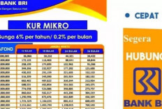 Ini Syarat pinjam KUR Mikro BRI dan maksimum nilai pinjamannya