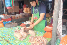 Awal Tahun, Harga Ayam Rp 40 Ribu Perkilogram