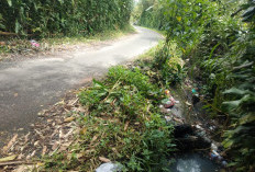 Terancam Putus, Perbaikan Jalan Danau Poong Belum Jelas