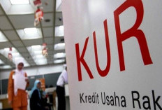 Ini Penyebab Target KUR Tidak Tercapai