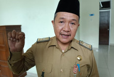 Usulan PPPK Teknis di Rejang Lebong Capai 2.000 Orang, Sekda : Kebutuhan Masih Dievaluasi