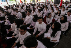 1.967 CPNS Mengundurkan Diri! Penempatan Jauh Jadi Alasan Utama