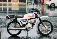 Mengenal Suzuki A100, Motor 