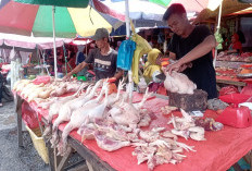 Pertengahan Ramadan, Harga Daging Ayam Stabil