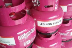 Heboh Kemunculan Gas LPG 3 Kg Warna Pink Dijual dengan Harga Normal, Pertamina Beri Penjelasan!