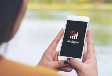 Jarang Disadari! Ini 6 Penyebab Sinyal HP Sering Tiba-Tiba Hilang