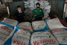   Presiden Prabowo Turunkan 20 Persen Harga Pupuk Bersubsidi 