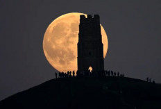 Catat Tanggalnya ! Inilah Jadwal Fenomena Langit Paling Indah Sepanjang November 2025