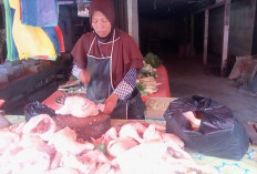 Jelang Tahun Baru, Harga Ayam Merangkak Naik