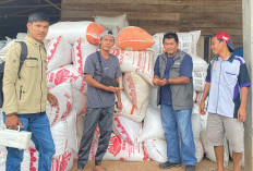 Jumlah Serapan Beras Masih Kurang 159 Ton