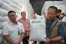 Efisiensi, Kemasan Plastik Bantuan Pangan Bakal Diubah   