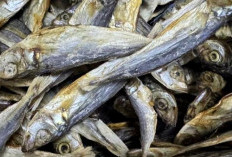 4 Cara Efektif Mengolah Ikan Asin agar Rasanya Lebih Seimbang