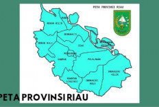 Provinsi Riau Lahirkan 12 Kabupaten Kota Baru : Daerah Mana Paling Luas, Berikut Daftarnya! 
