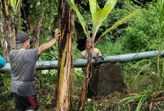 Pipa Perumdam TBK Putus Akibat Longsor, Distribusi Air Sejumlah Wilayah Terganggu