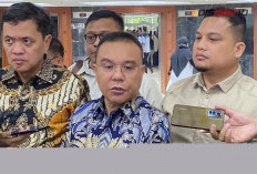 Dasco Yakin Pilkada Jakarta 2 Putaran