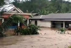  Hujan Deras Rendam Puluhan Rumah di Sindang Beliti Rejang Lebong
