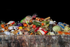 Stop Food Waste ! Tips Simpel Kurangi Sampah Makanan dari Rumah