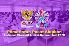 BKN Siapkan Formasi Tampungan, Apa Itu? Formasi Khusus Honorer dengan Kategori Ini