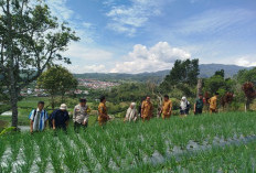Pemerintah Desa Suban Ayam Gelar Sertifikasi