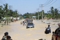 Korban Banjir Aceh-Sumatera Capai 916 Jiwa, 274 Orang Masih Hilang